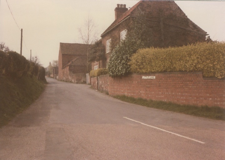 Little Garth Pear Tree Cot Needham Photograph